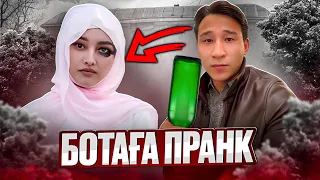 БОТАҒА ПРАНК: ОЛЖАС МАС БОЛЫП ҚАЛДЫ 😱😂