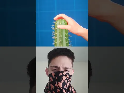 Cómo funciona un cactus? 🤯🌵 #shorts #parati #viral #short