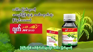 စပါးရွေးချယ်ပေါင်းသတ်ဆေး "ဂျက်" လာပါပြီ .....