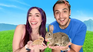 AHORA SOMOS PAPÁS DE UN CONEJO Y SUS BEBÉS ?!