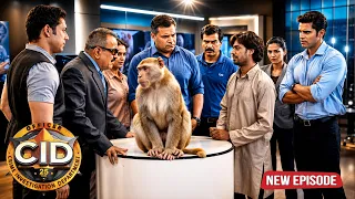 कैसे करेगा यह बन्दर CID Team की मदद खुनी को पकड़ने में || CID || TV Serial Latest Episode