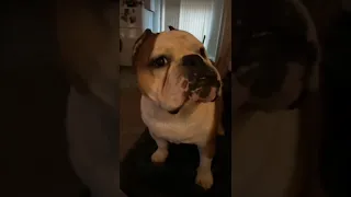 You Need to Kill Some Time? Here’s 10 Minutes of Laughs! by RxCKSTxR