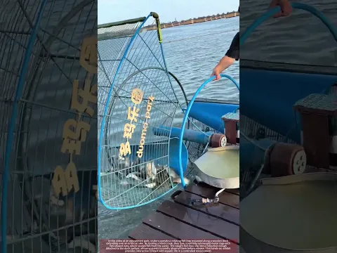 See Park Guests Scoop Fish with Rotating Cage Trap !