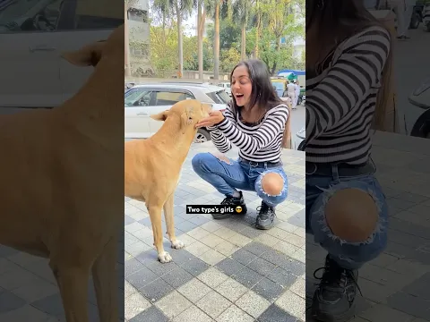 70% girls love’s animals & 30% girls are afraid of them 🤷🏻‍♀️ #shorts #funny #girls #viral