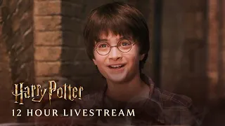 Harry Potter Cosiest Scenes Compilation