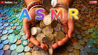 ASMR coin puppy house piggy bank vertical live video