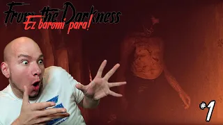 EZ BAROMI PARA! | From the Darkness #1