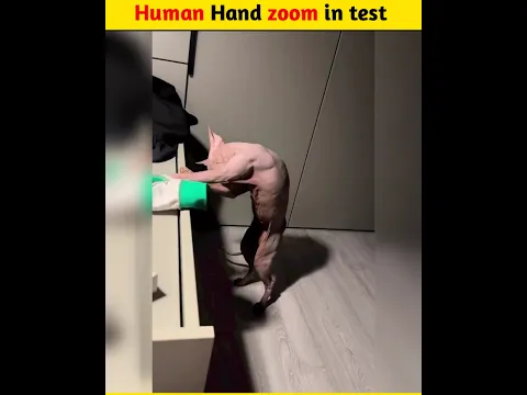 Telescop zoom test in real life#shorts #viralvideo @MrBeast @MRINDIANHACKER