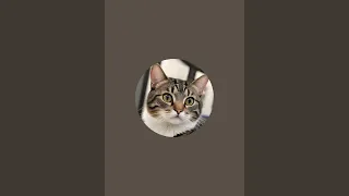 Ohio Noor is live!
