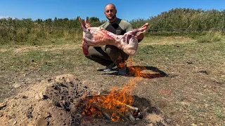 Nomadic Delicacy 😍🔥