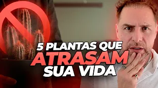 5 PLANTAS QUE PREJUDICAM SUA CASA E COMÉRCIO | Daniel Atalla