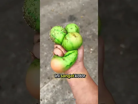 Harta Karun Semangka Ditemukan di Hutan! 🍉😲!!#shorts