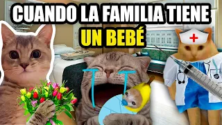 CUANDO LA FAMILIA TIENE UN BEBÉ, episodio completo (meme de gatos)