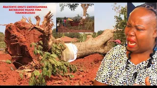 Mama Fiina Alabudde ku Msambwa Gy'omuti UNRA Gweyatemye😭 Gugeenda Kutemula Abantu