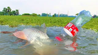 Best Bottle Trap Fishing By Plastric Bottle | Hook Fishing By Bottle | Masti Village Life