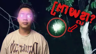 Youtuber ជនជាតិថៃពីរនាក់ថតបានព្រាយខ្លា ដែលបានបន្លំខ្លួនជាយាយចាស់​ និងក្មួយពួកគេ!