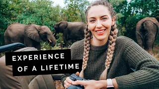 Let’s go on SAFARI in South Africa 🇿🇦 all-inclusive luxury!