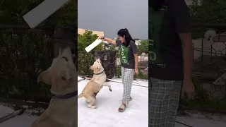 Fun Activity With Shriya & Gieni