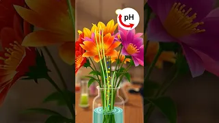 Este truco hará que tus flores cortadas duren el doble de tiempo