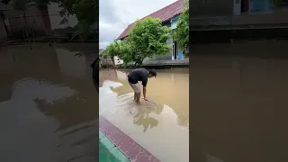 Kumpulan Video Nyeser Saat Banjir Dapat Ikan Lele Ukuran Monster