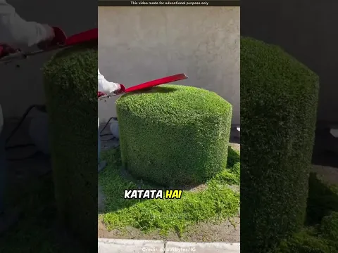 Everyone needs this unique job