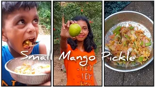 SMALL MANGO PICKLE🍈😋#funny #viral #longplay♥️♥️