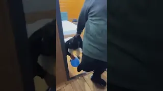 فهد ورط علاوي مع دحدوح🤣🤣