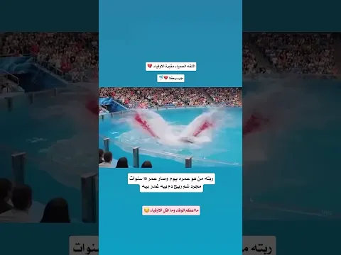 آخر أخبار الفتاة التي ابتلعها الحوت… 😭💔