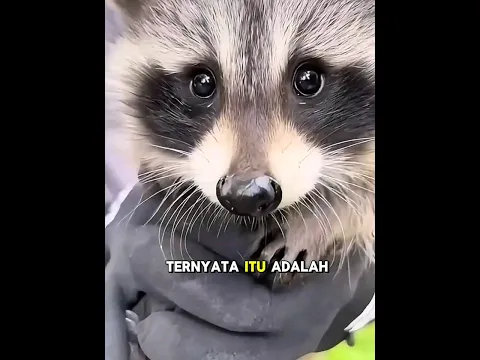 Pertemun yang tidak sengaja membuat mereka menjadi keluarga🥺❤️