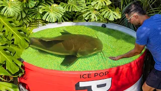 NEW Pond Monster For PRIME Pond