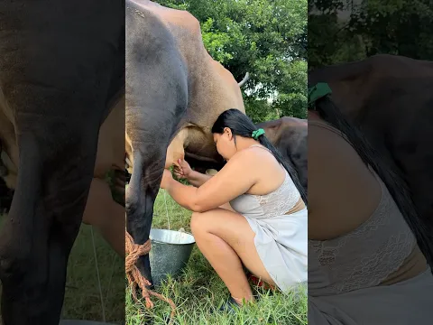 Ordeñando 🐄