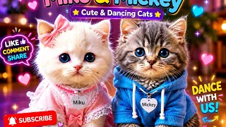 #Funny #cats This will instantly make your day better 🥰 | #cat #cute 