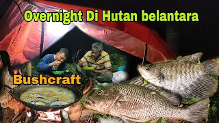 OVERNIGHT ||CAMPING BERMALAM DI HUTAN - BUSHCRAFT