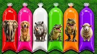 FIND: Cow, Elephant, T-Rex, Dog, Bird, Tiger, Cat, Panda, Lion, Giraffe, Dolphin