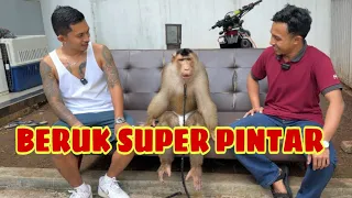 BASTIAN SI BERUK MONSTER DATANG KE MARKAS FLOKI ‼️ OPET LANGSUNG NGAMUK