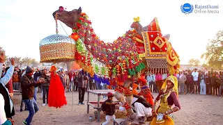 राजस्थानी ऊंट का ऐसा डांस आप ने पहले कभी नहीं देखा होगा | New Marwadi Dj Song 2022 | New Camel dance