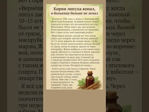 Корни лопуха при радикулите