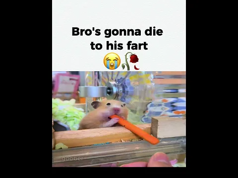Someone save bro 💔