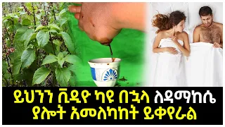 ይህንን ቪዲዮ ካዩ በኋላ ለዳማከሴ ያሎት አመለካከት ይቀየራል | Abel Birhanu የወይኗ ልጅ 2