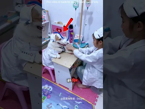 THE DOG WHO BECAME A PATIENT EVERY DAY
