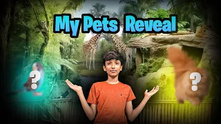 My Pets Reveal 🥰🥰 II Vlog # 5