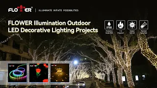 Flower Brand Outdoor LED Captivating Lighting Projects-Color The Night#lightingshow #projectlighting