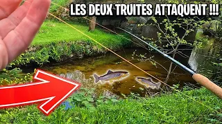2 TRUITES ATTAQUENT mon ver en même temps (pêche en ruisseau avec @sengo_crew )