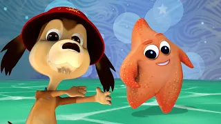 ESTRELLITA DE MAR - PERRO CHOCOLO - CANCIONES INFANTILES - MÚSICA PARA JUGAR