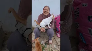 KUCING DIBEBASIN MAIN MAIN TAPI CUMA 1 JAM !!!