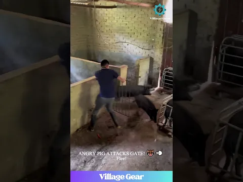 WILD PIG CHASE! 🐖 Farmer vs Beast - WHO WINS?! 🤯 #pigchase #dangerousjobs #parkour #viral