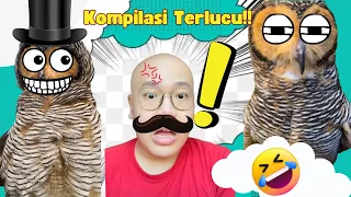 Kumpulan Video Terlucu Burung Hantu Bibib Family + Behind the Scene!