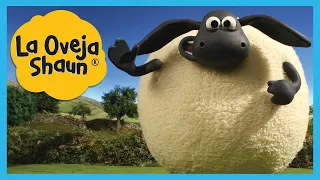 😱 Timmy Extragrande - Encerrado Fuera | La Oveja Shaun [Shaun the Sheep] Episodio Doble