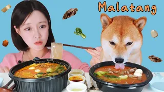 마라탕 같이 먹었어요 (마라탕 첫 입문기!)