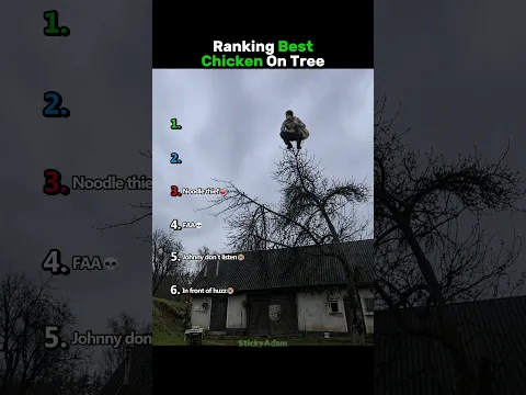 Ranking Best Chicken On Tree Pt. 2
